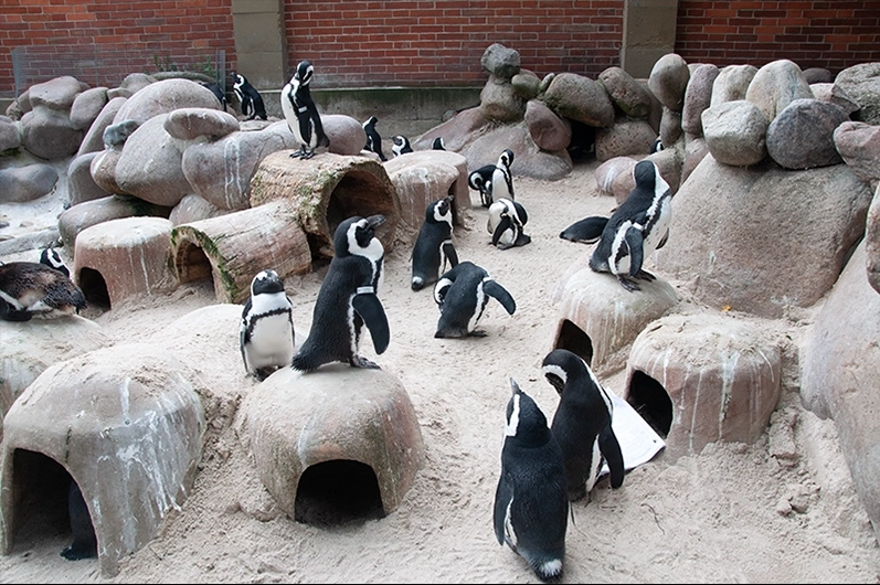 Zoos und Tierparks